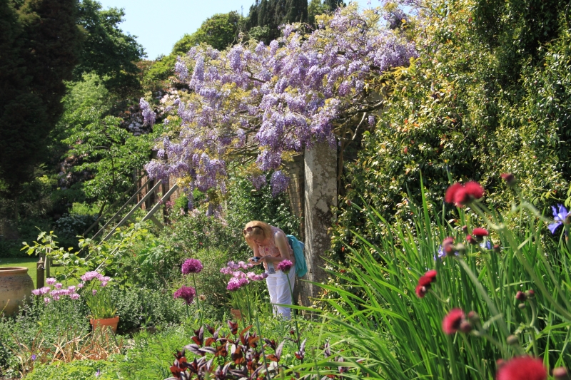 The Lost Gardens of Heligan